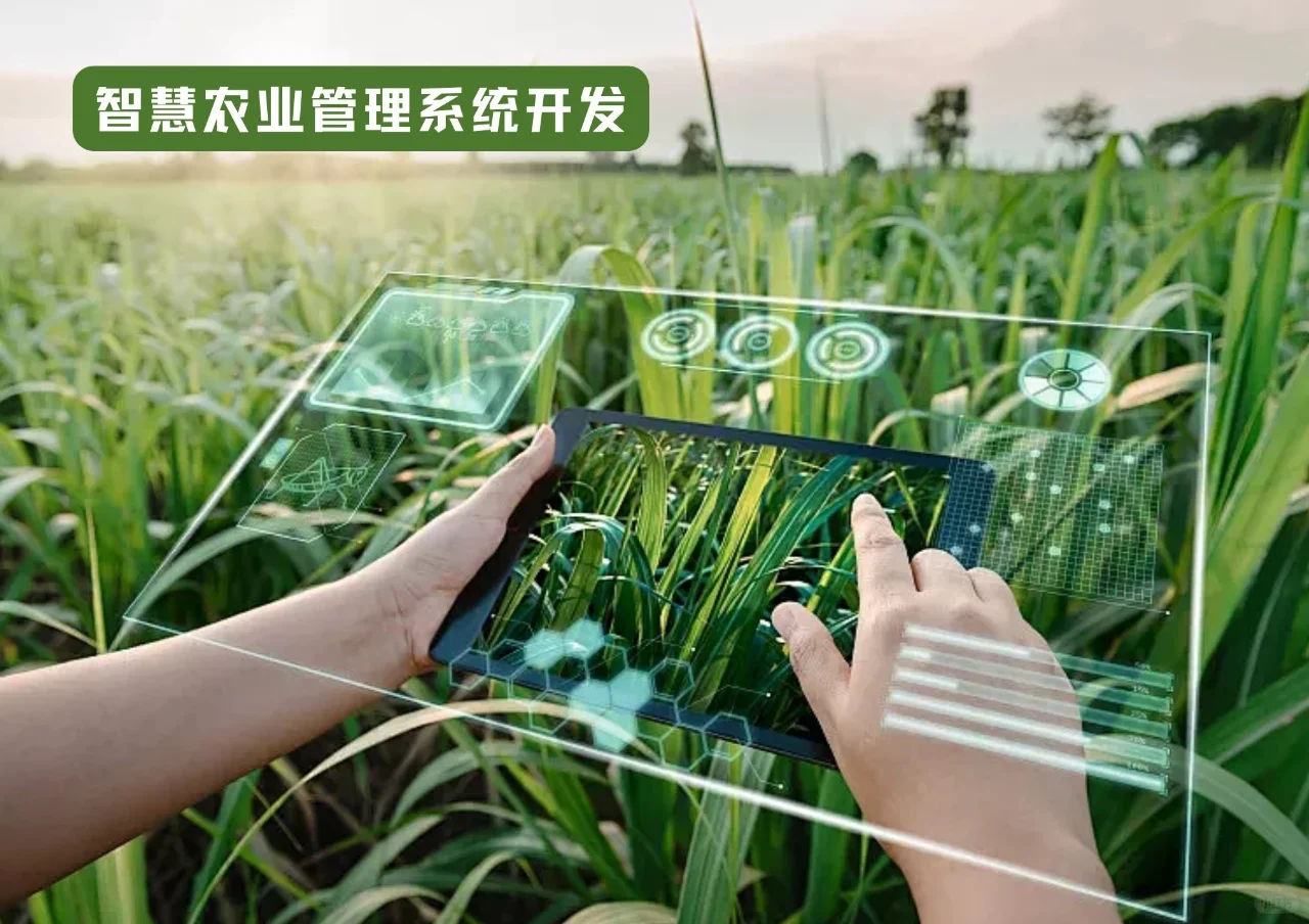智慧农业管理系统开发 推动农业现代化发展