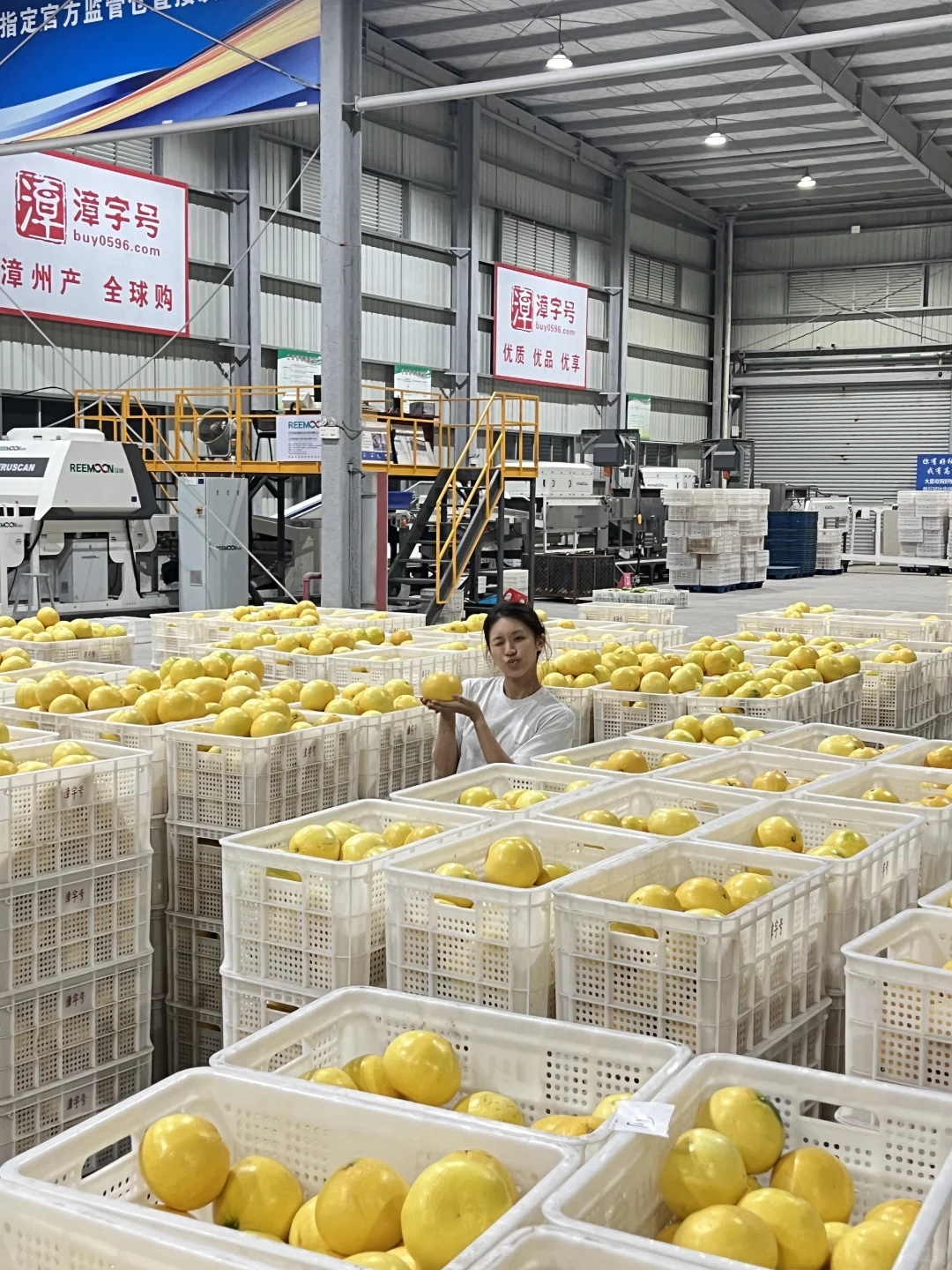 俺在5000多平的柚子厂打工