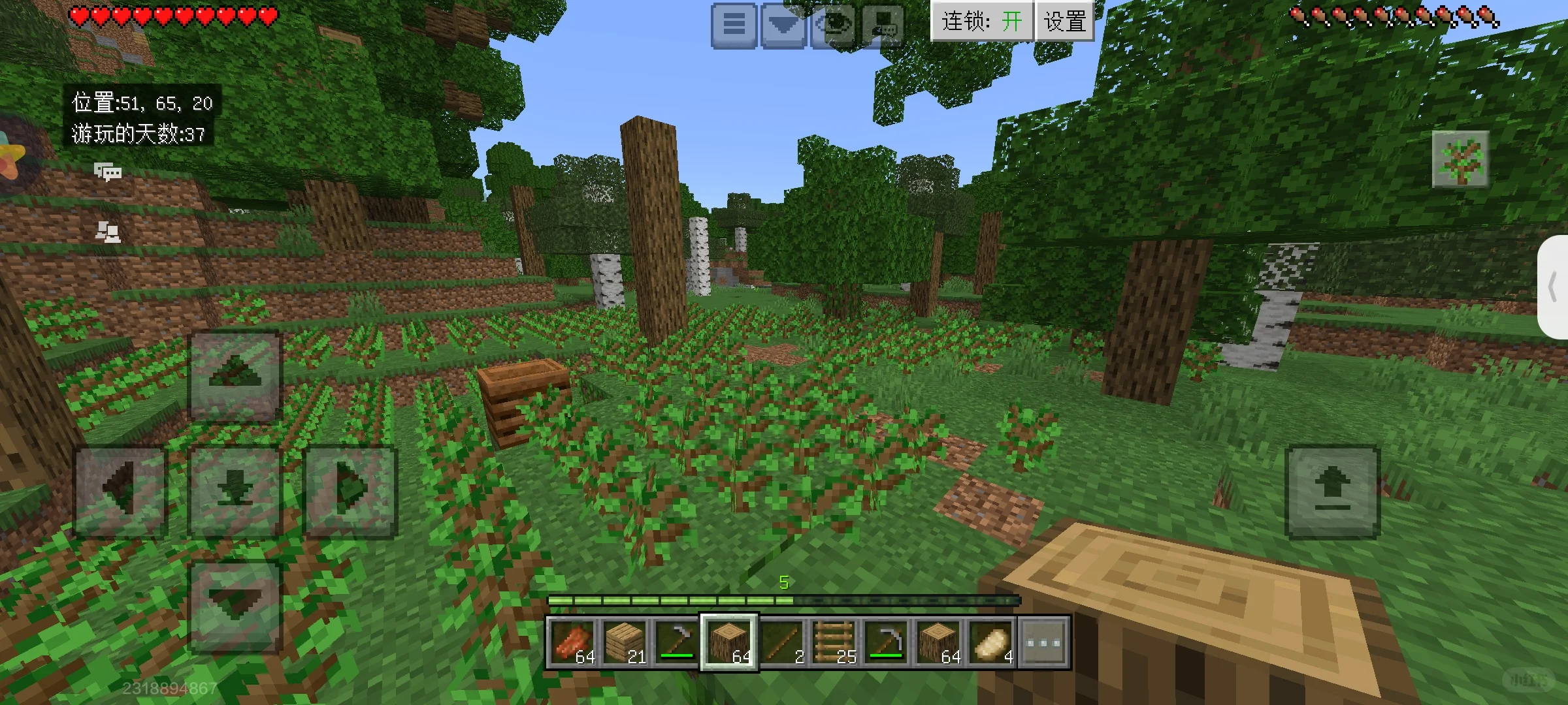 树苗种多了有种家里被占领的感觉