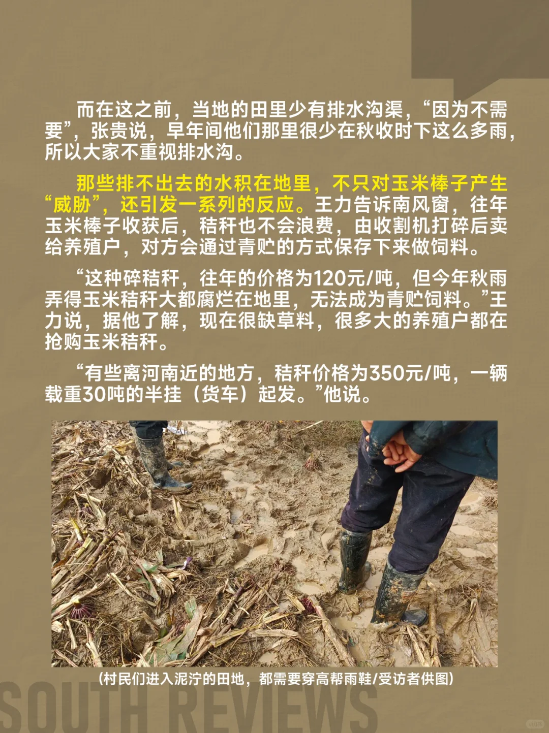 河南农民太苦了,刚经历罕见干旱又遭遇秋涝