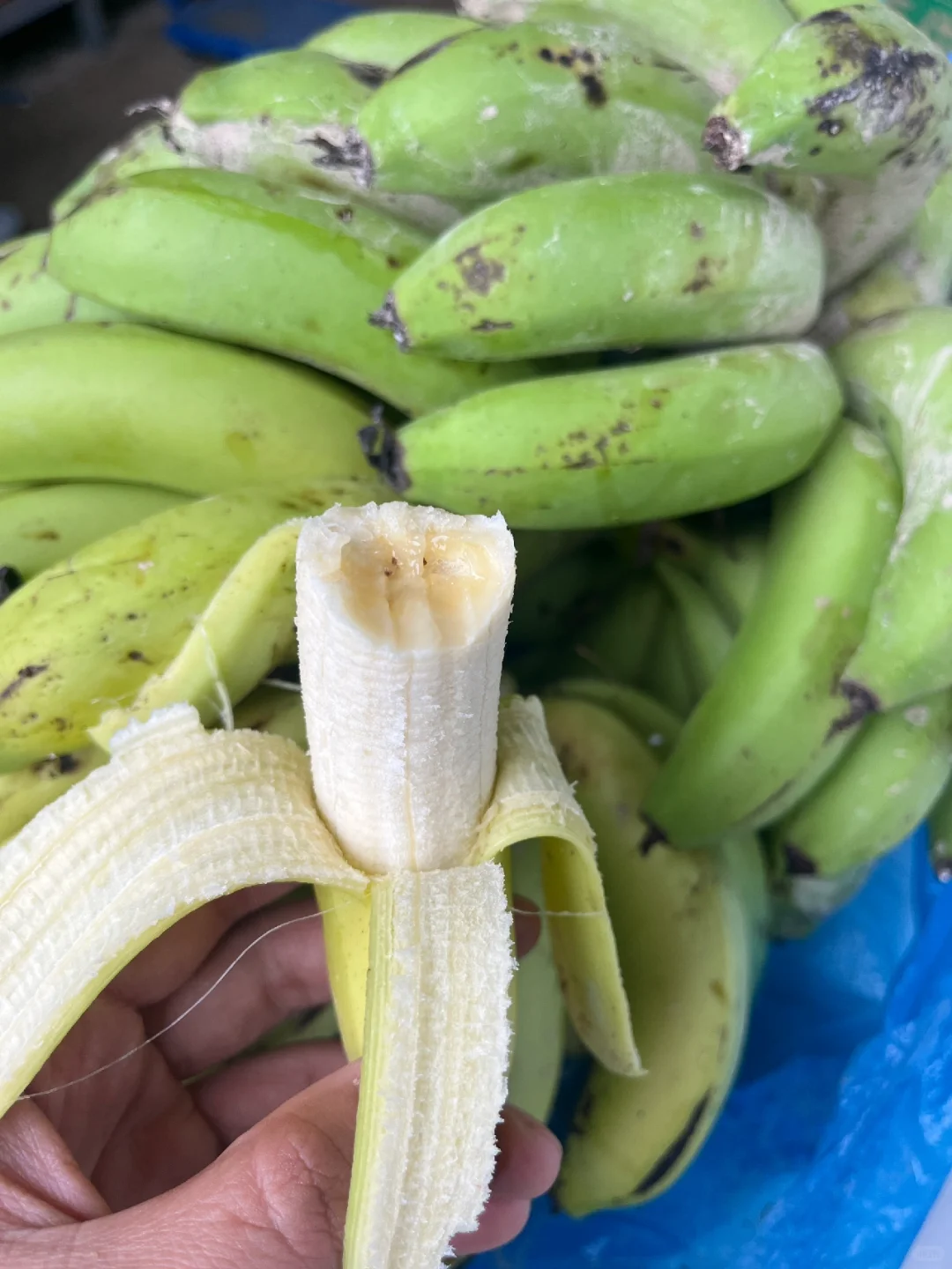 在农村有吃不完的水果跟蔬菜