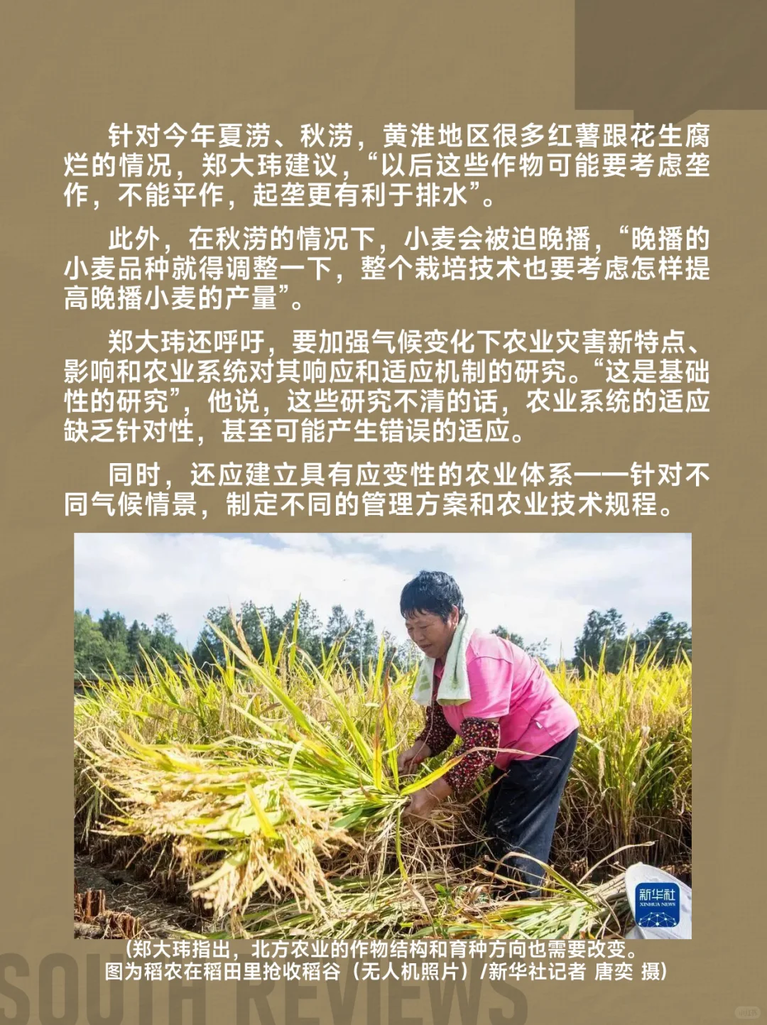 河南农民太苦了,刚经历罕见干旱又遭遇秋涝