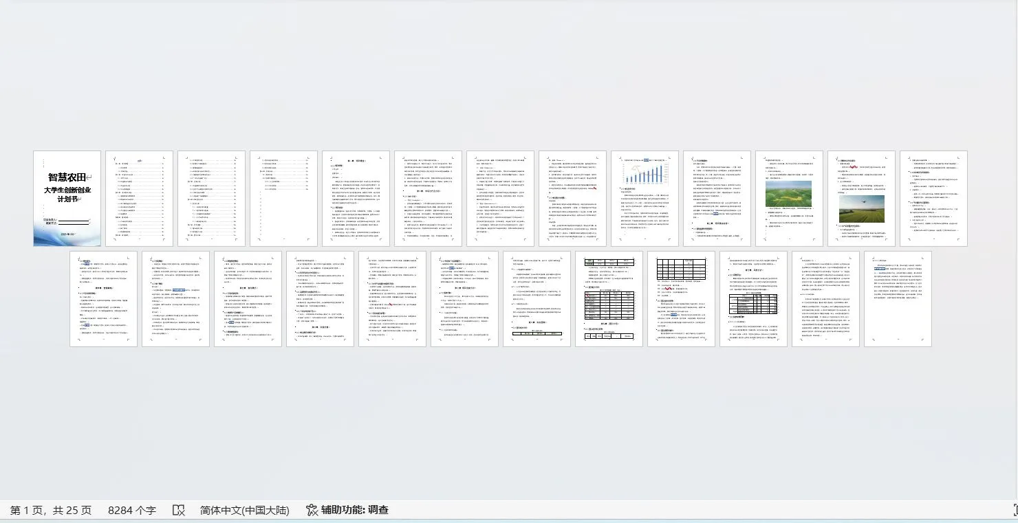 《智慧农田》创业计划书Word➕PPT