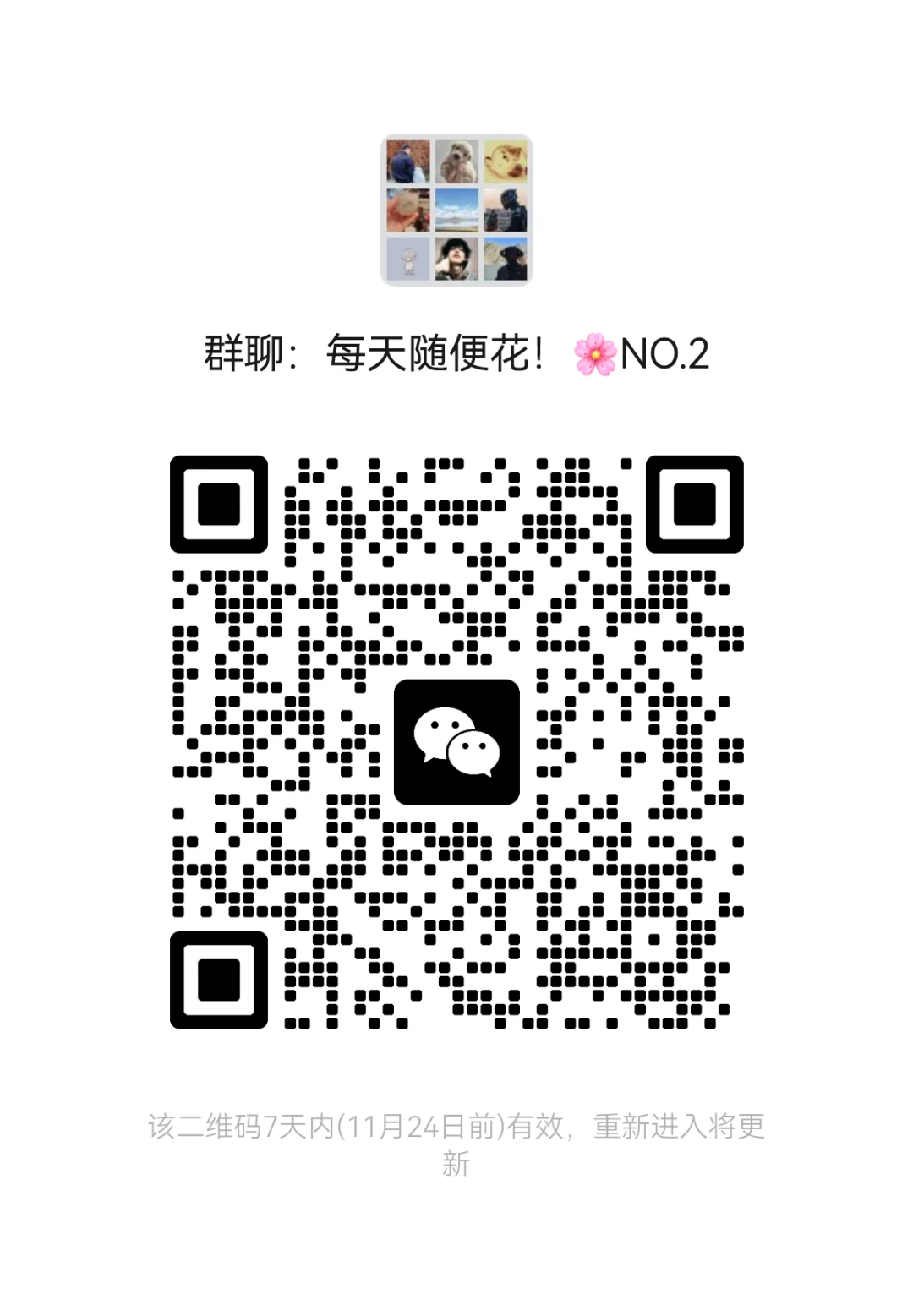 家庭花草种植交流