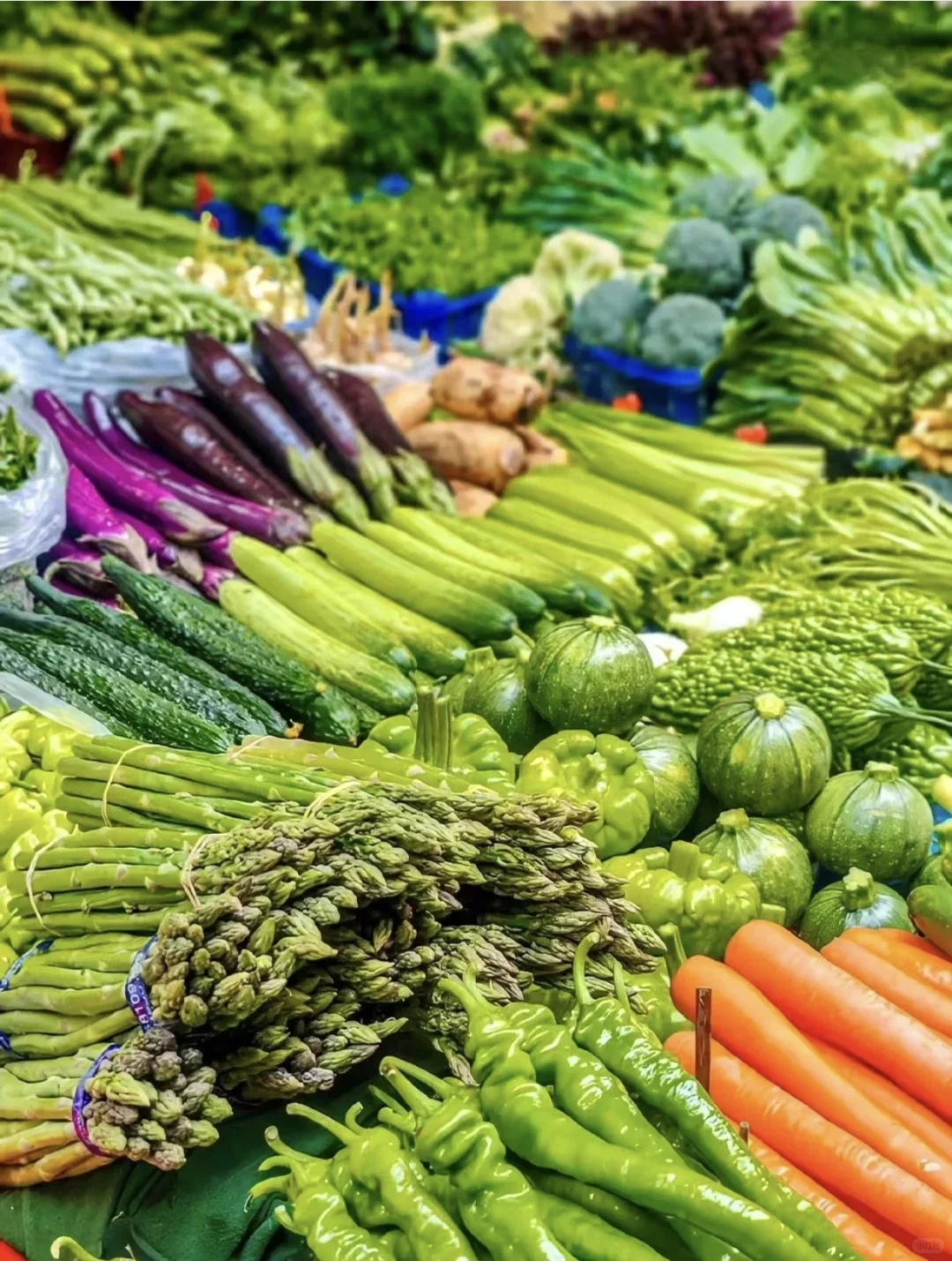 什么都听您的食材供应商来啦,全品类批发价