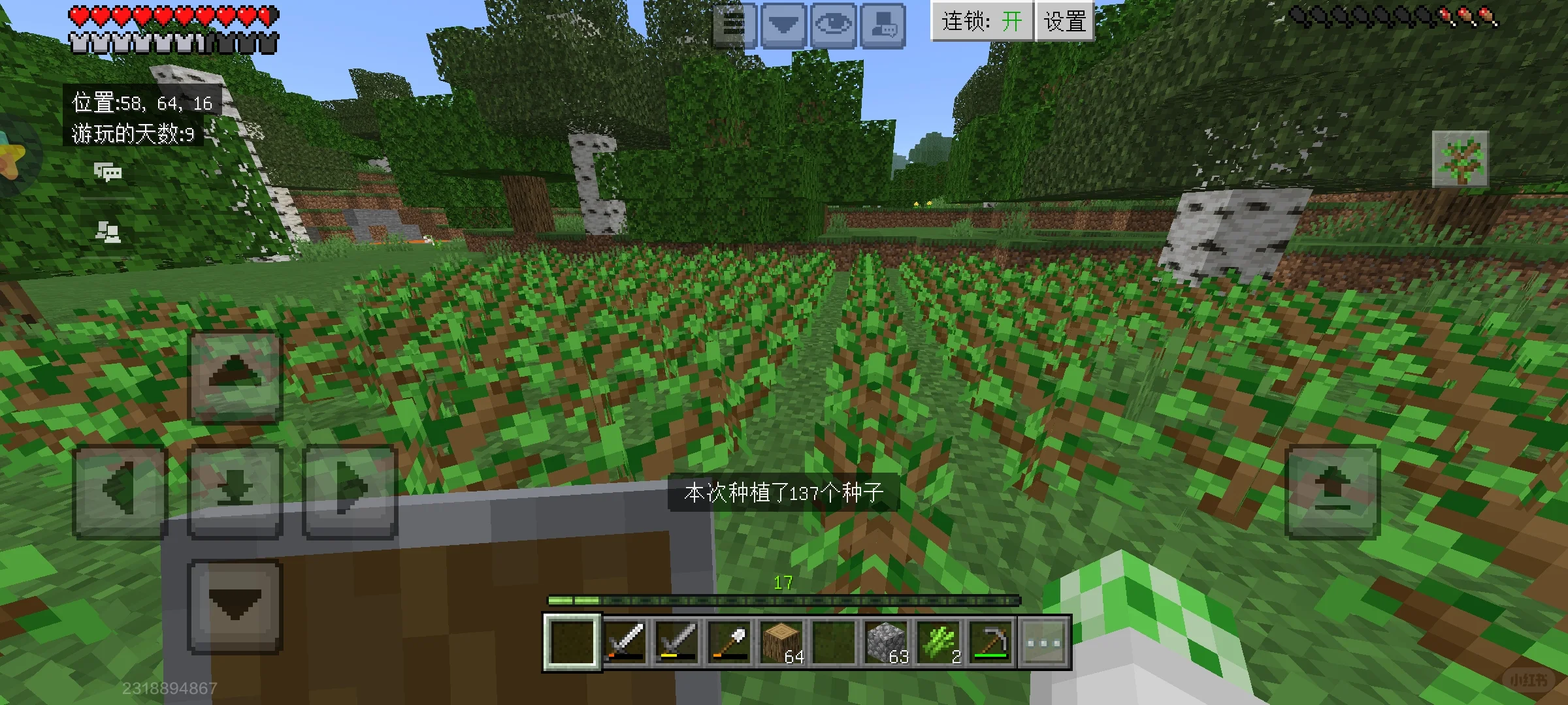 树苗种多了有种家里被占领的感觉