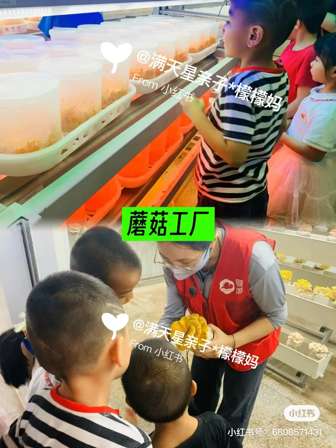 25年一定要带娃去的18个工厂