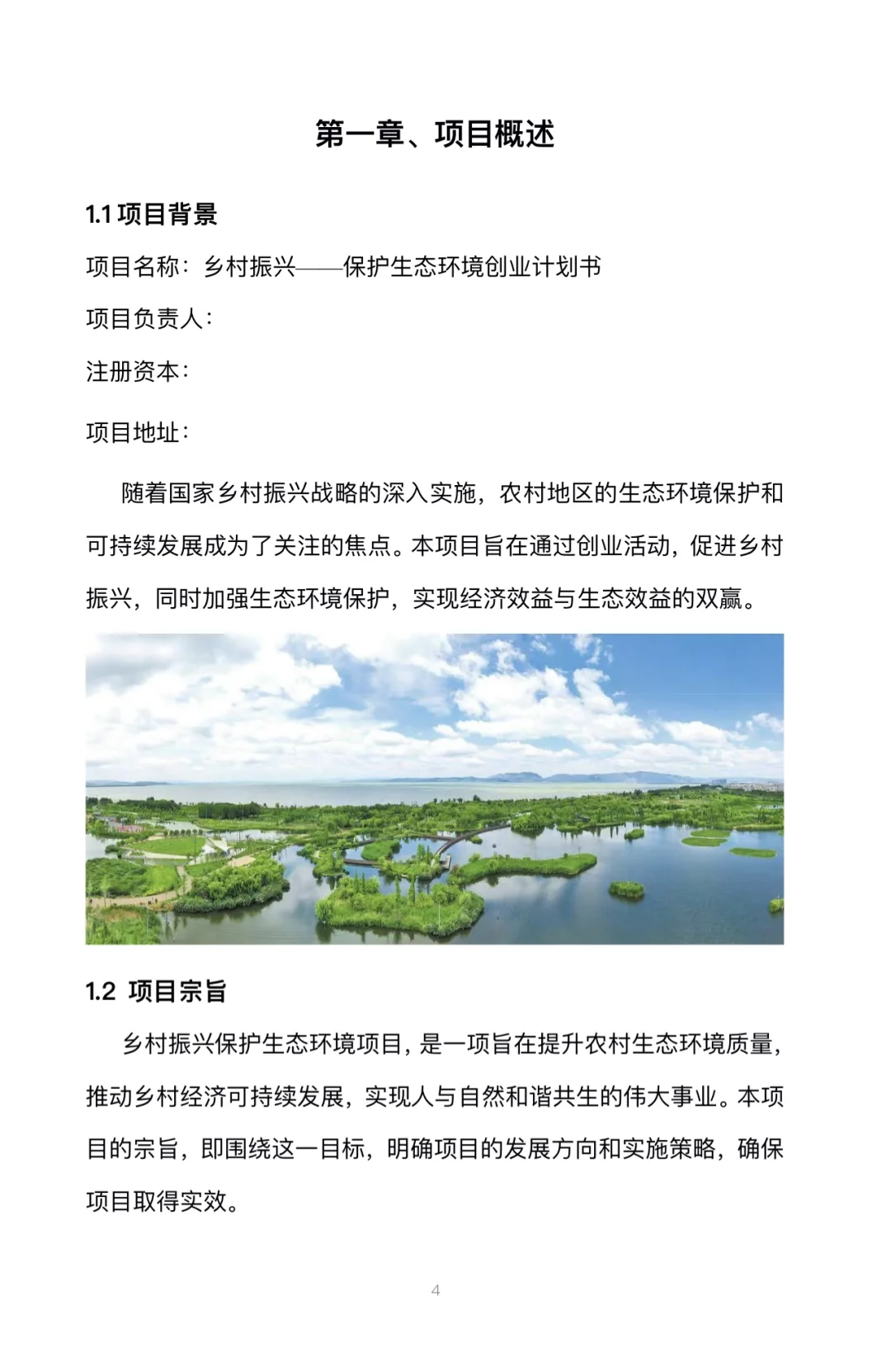 乡村振兴生态环境保护创业计划书完整版