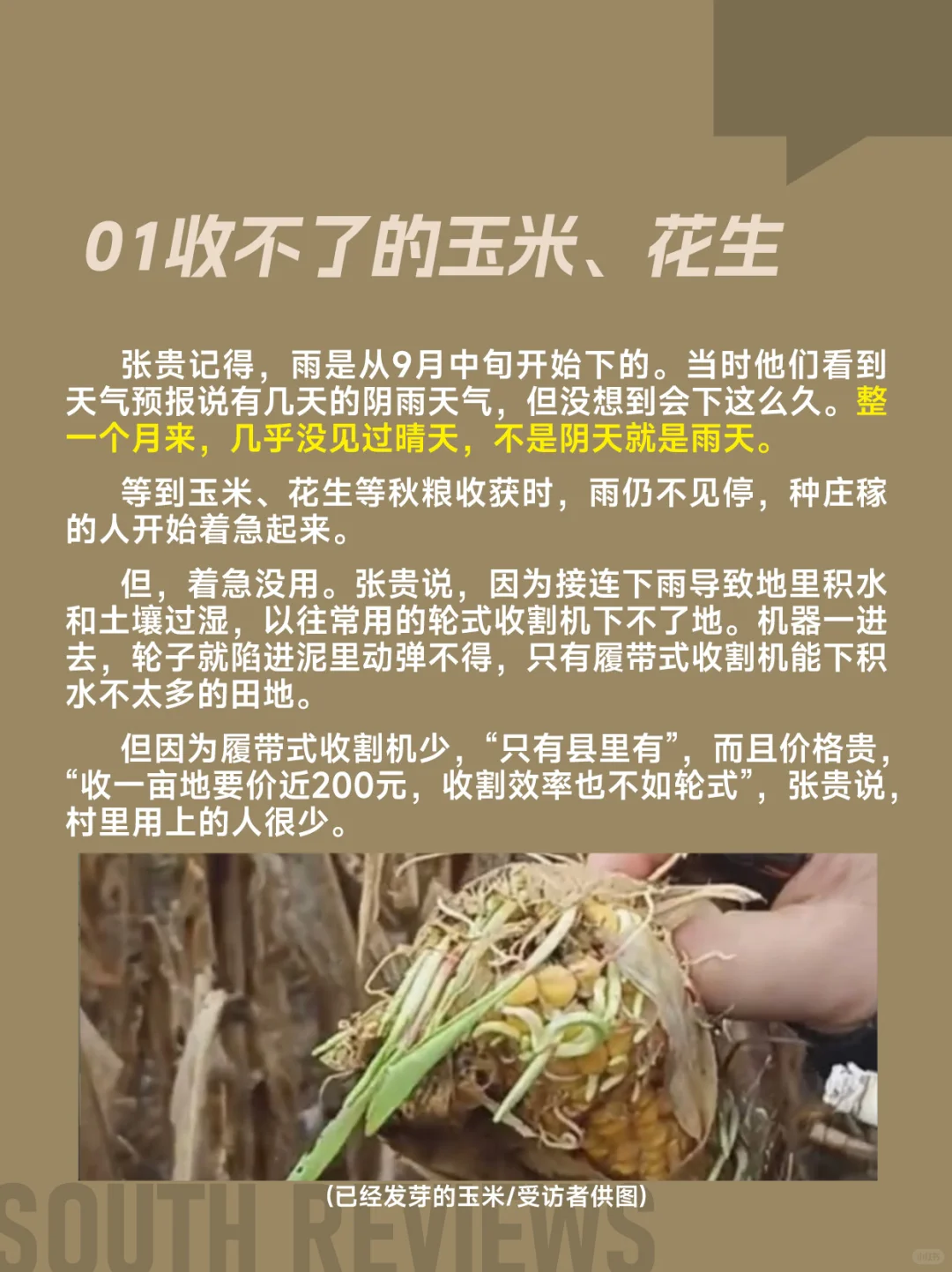 河南农民太苦了,刚经历罕见干旱又遭遇秋涝