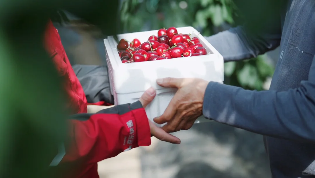 你绝对没见过的物流之美