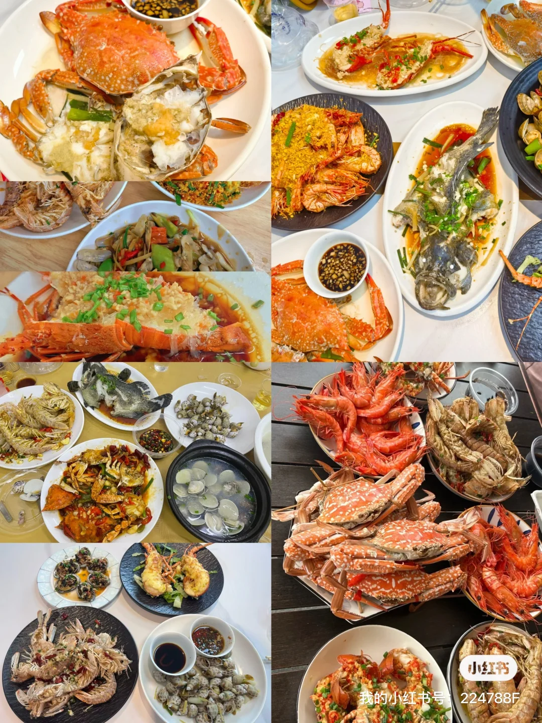 11.16海鲜实时报价→市场买海鲜饭店加工攻略