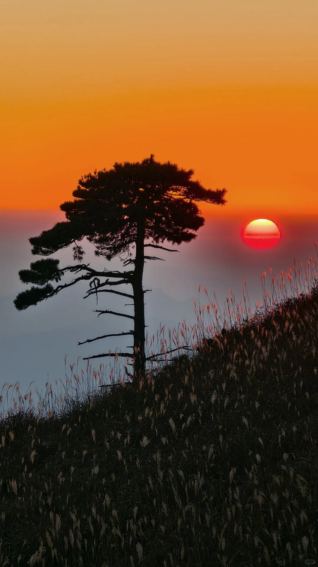 ?武功山反穿攻略｜2天1夜暴走31km 捡垃圾