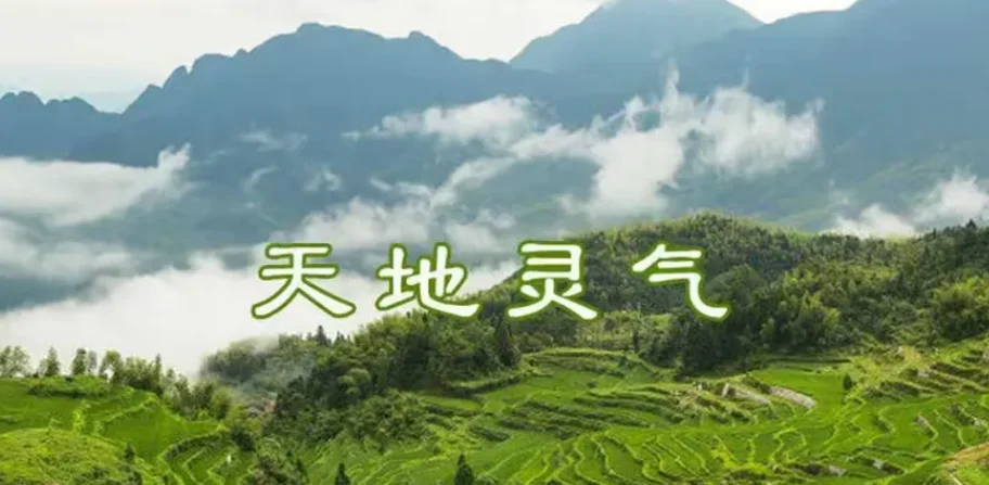 当前的社会主要矛盾你知道吗