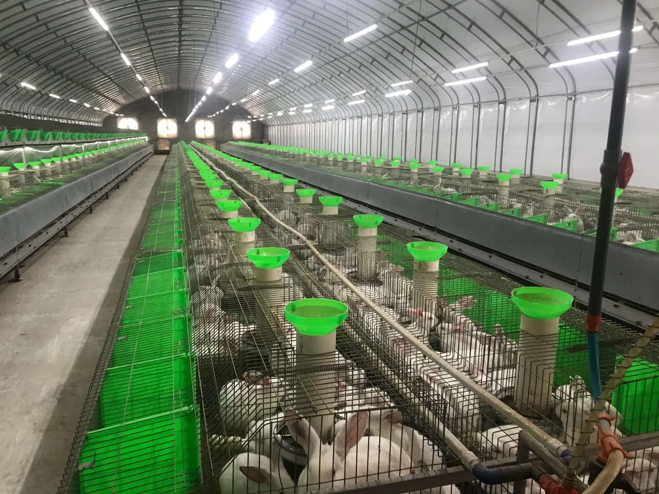 颠覆现有未来已来