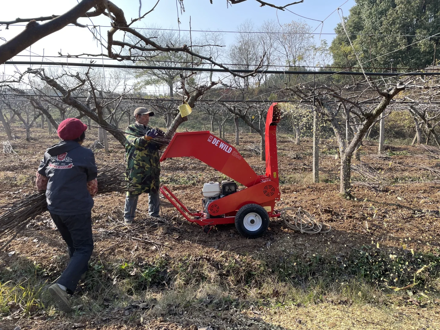 碳中和与绿废处理