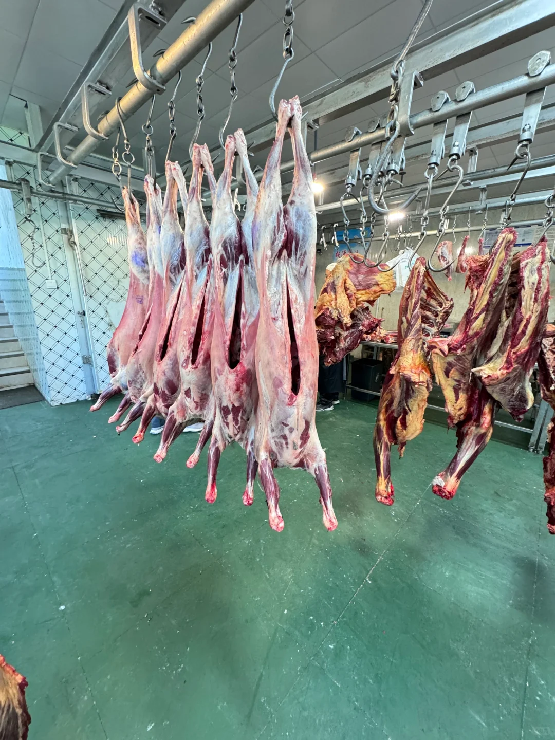 高原牦牛肉,来自川藏高原的馈赠