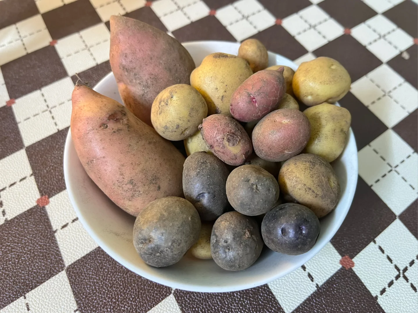 推荐种植的14种根茎作物