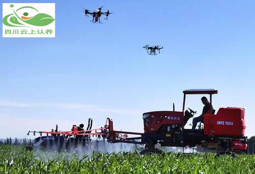 春耕新貌：从传统耕作到智慧农业的转型！