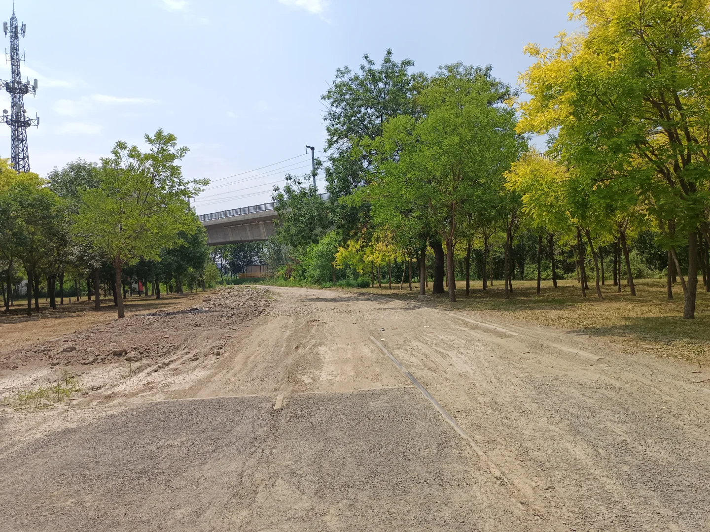 最早生产磷农药的国企是如何把自己逼没的