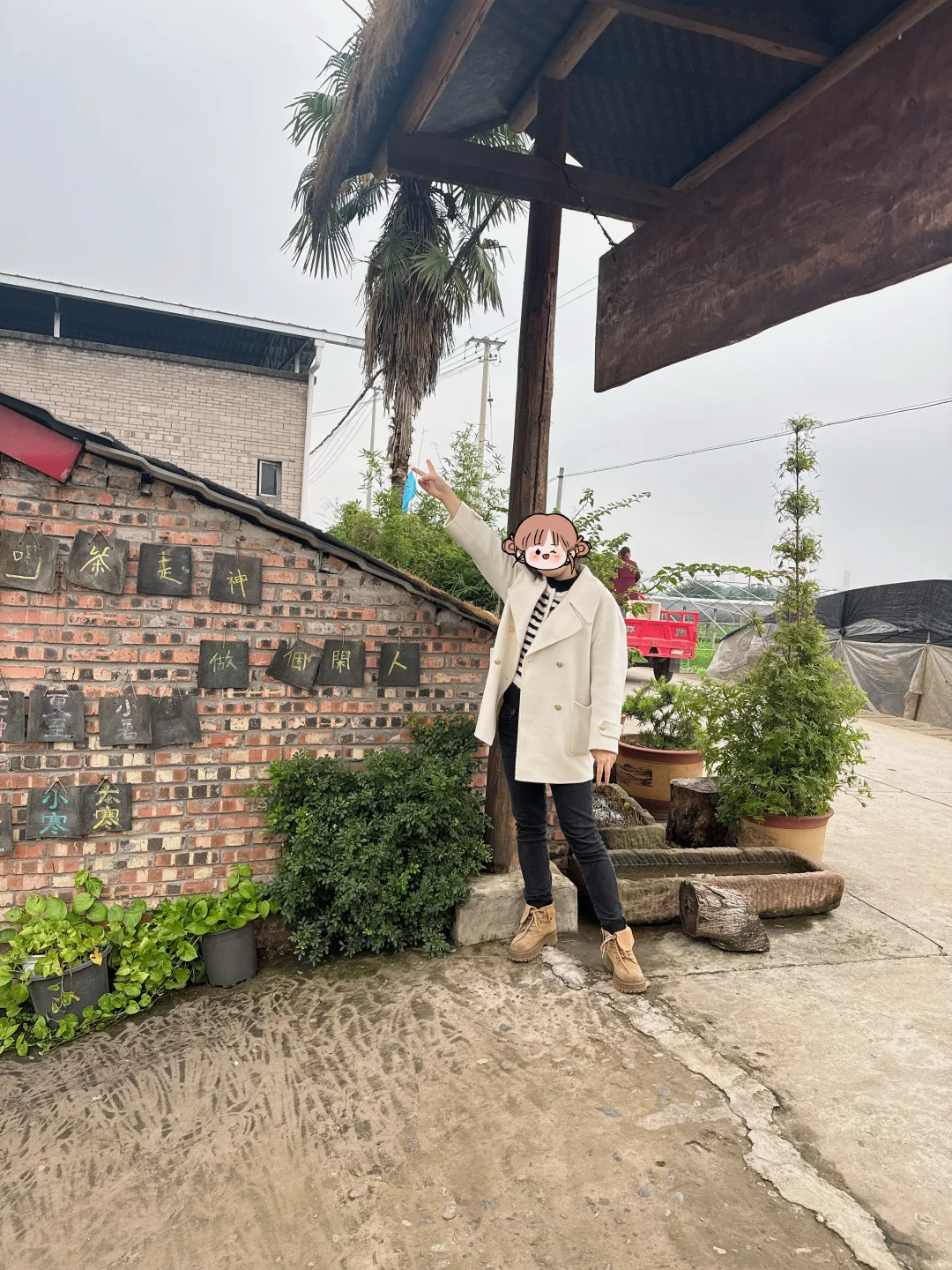 亲子游 | 巴南中坝岛 蔬菜采摘