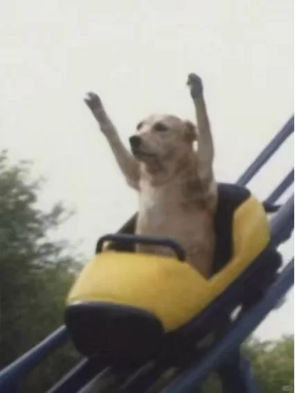 这段话支撑了我备考一造的整个过程