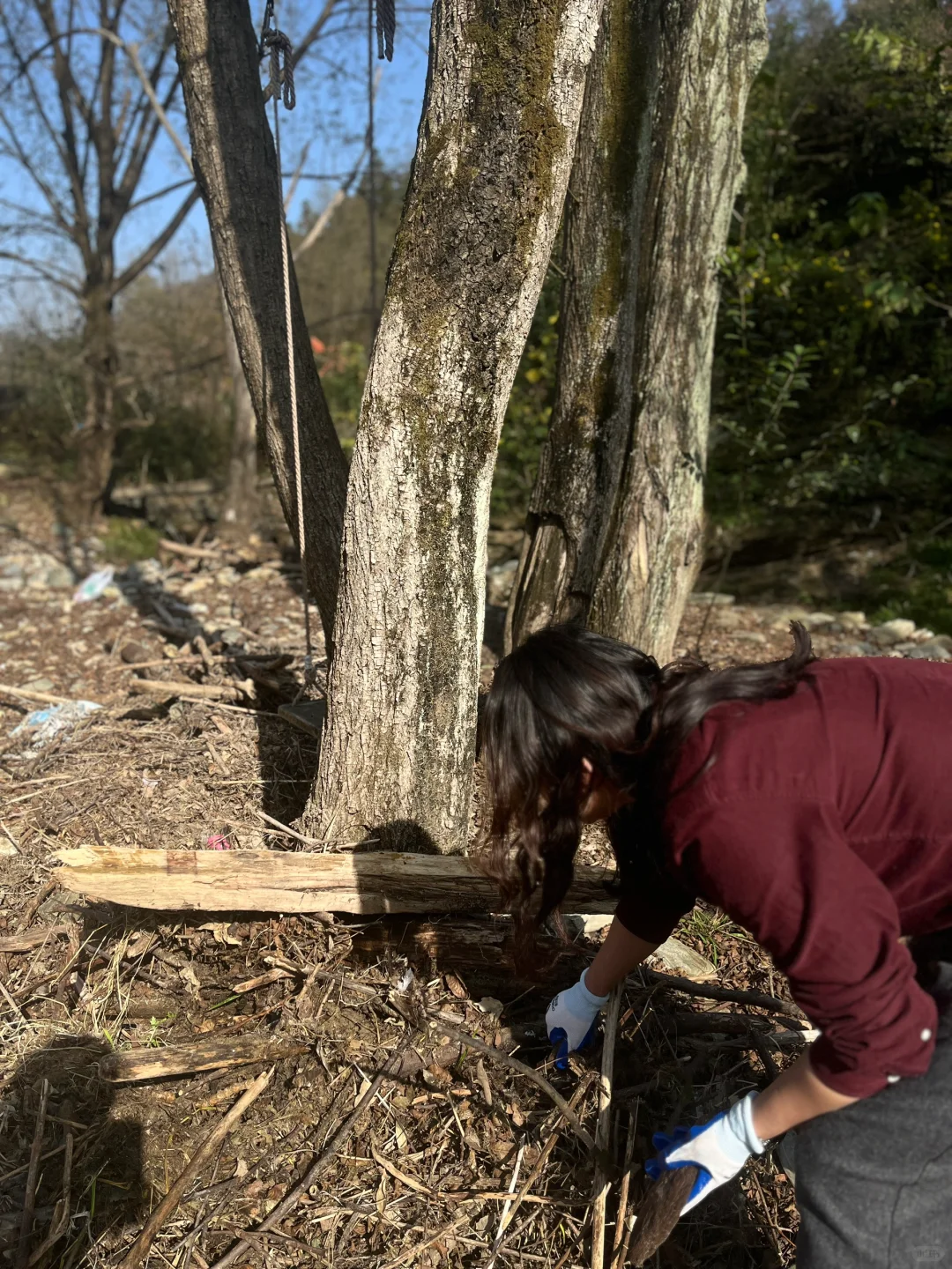 去捡木头，准备下个作品，像在捡垃?