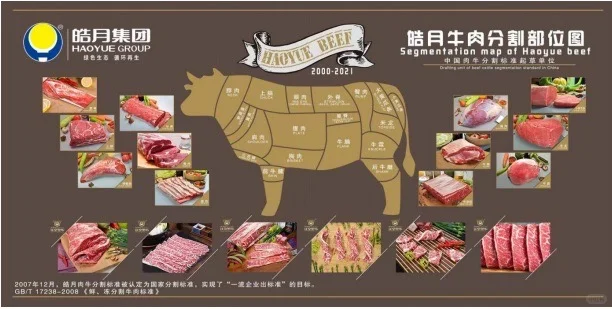 走进“牛肉超级工厂“探秘肉牛产业”