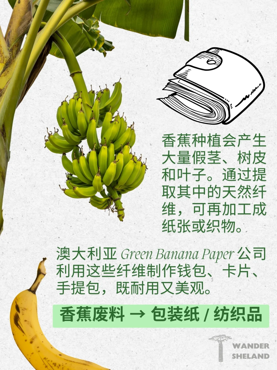 可持续指南｜废弃食材变身新材料 ?