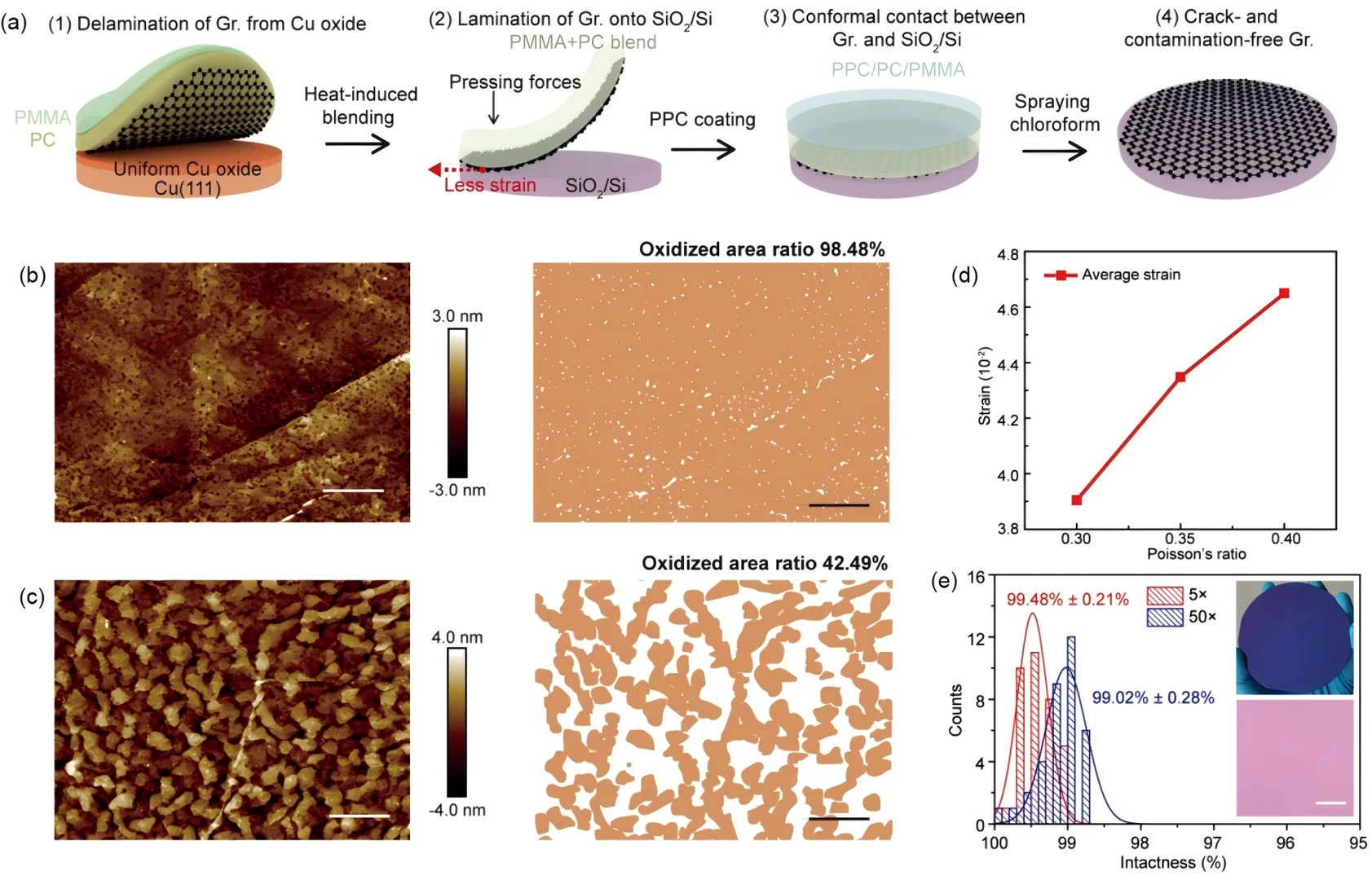 快速、无损的大面积石墨烯晶圆转移方法
