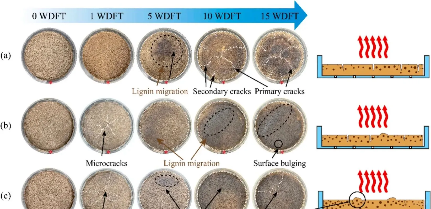盐渍土开裂难题？复合固化一招破解?