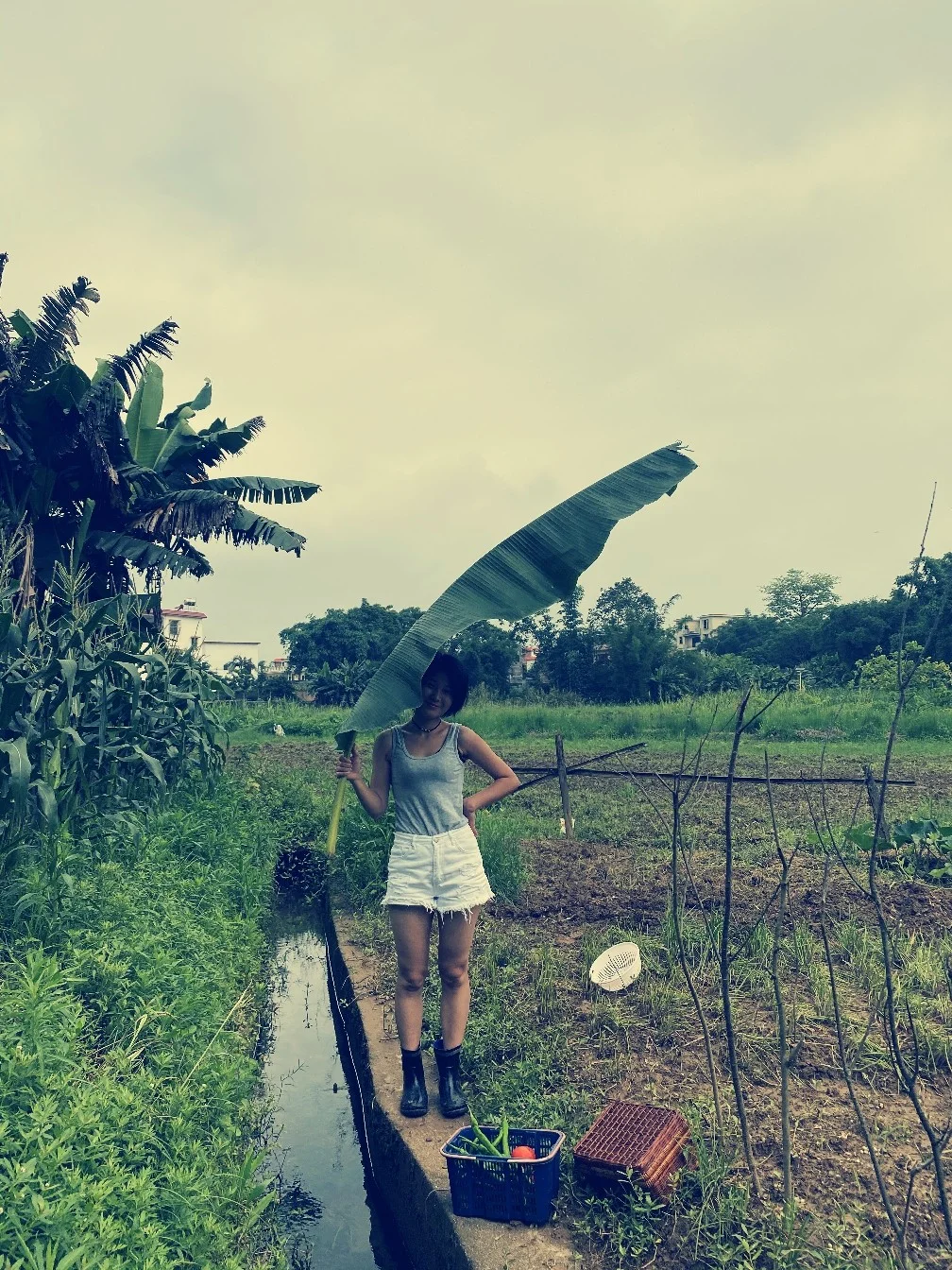绿色田园与大龄青年