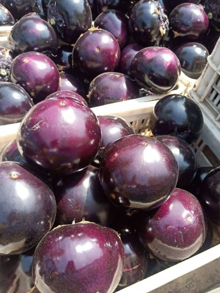 一天400吨！山东聊城大哥年卖蔬菜3000万斤