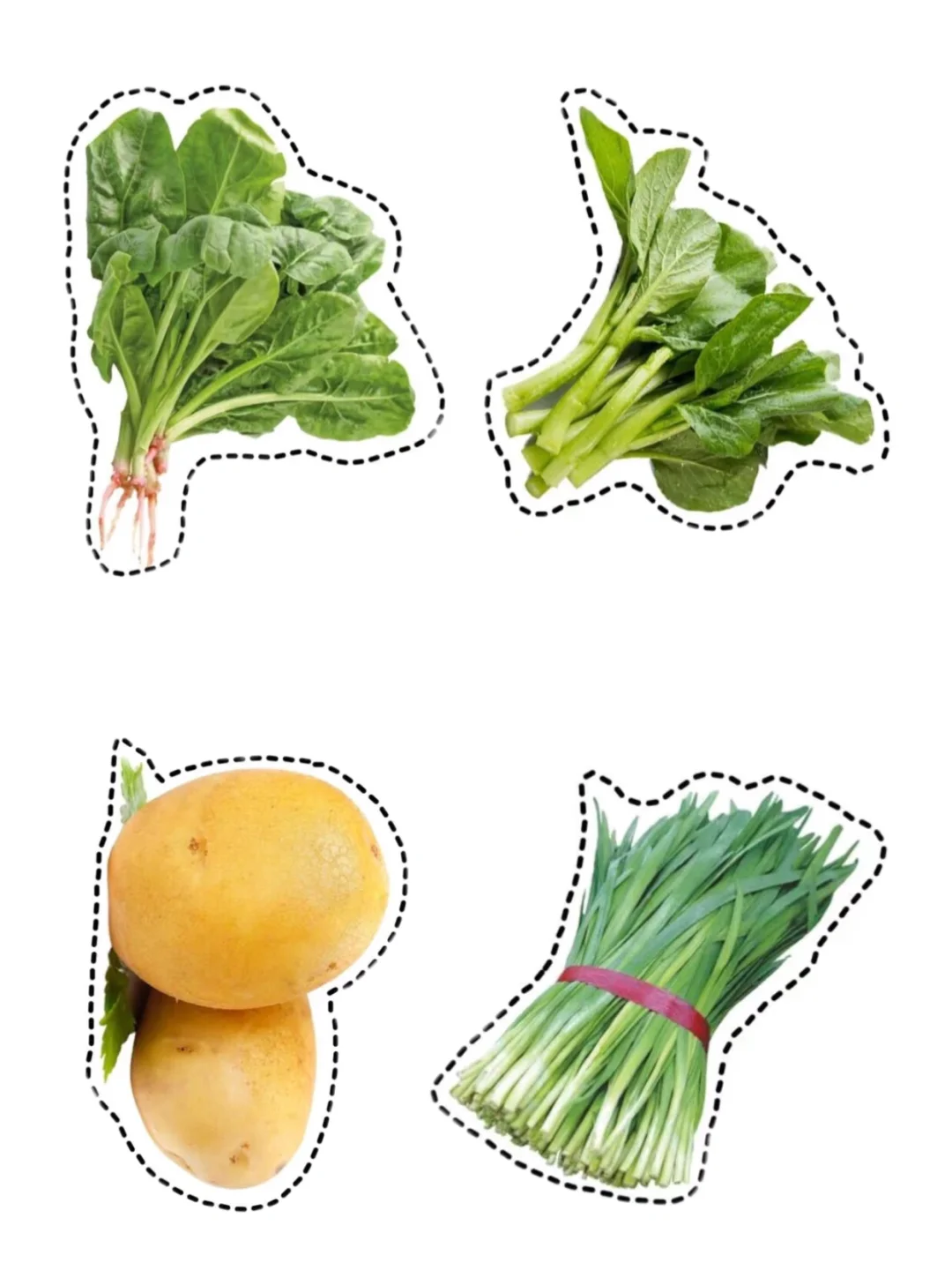 真实的蔬菜水果|均可打印（48种）