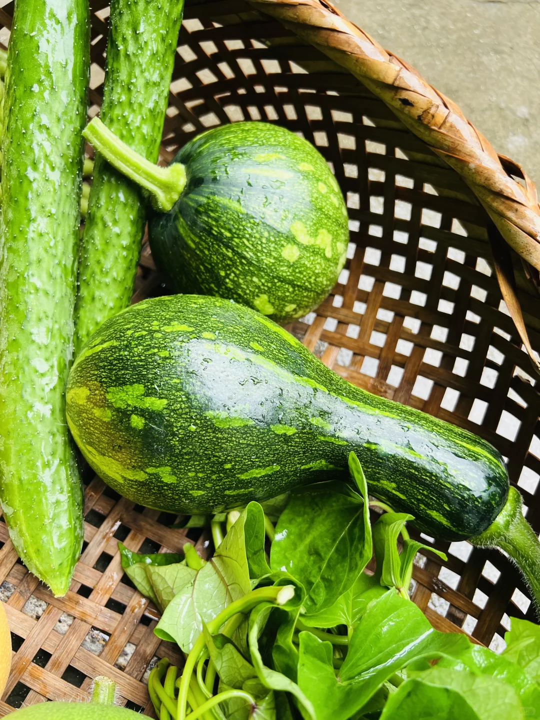 不好意思！最近只有这些菜❗️