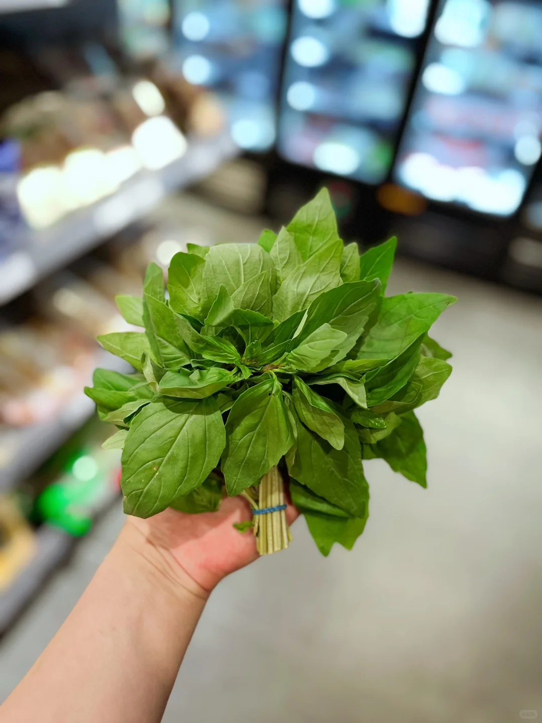 这些菜你都认识吗