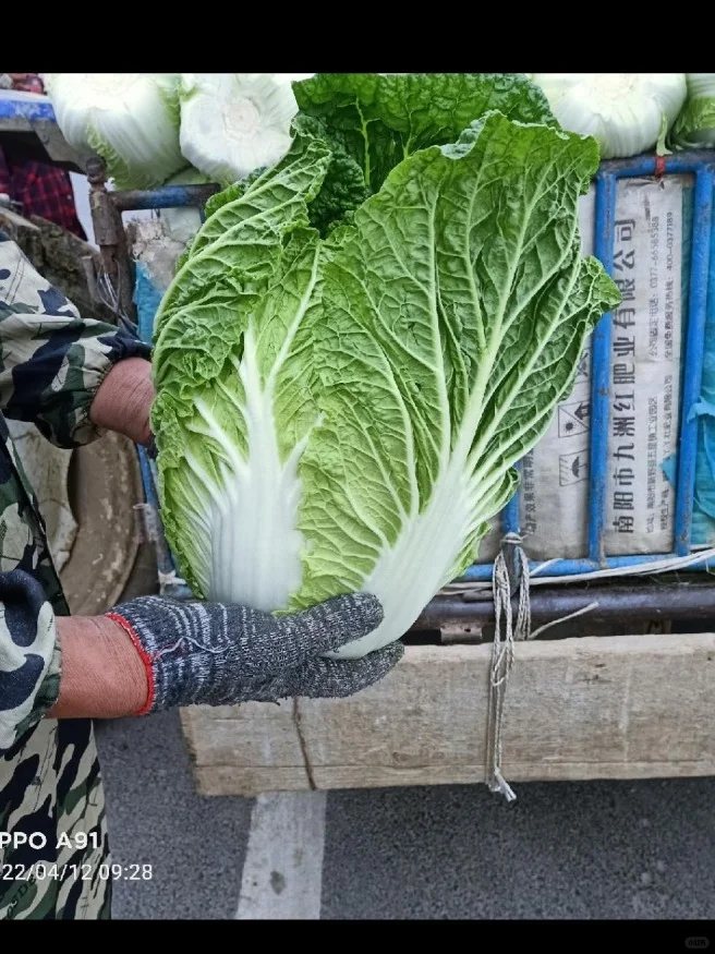 河南大哥做代办,年销农产品800吨!