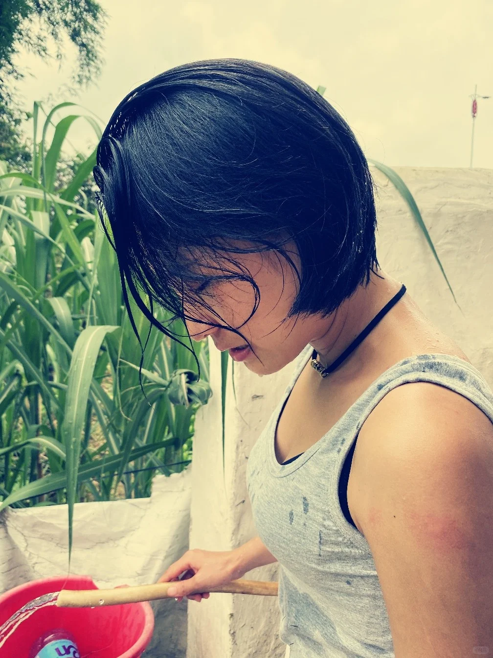 绿色田园与大龄青年