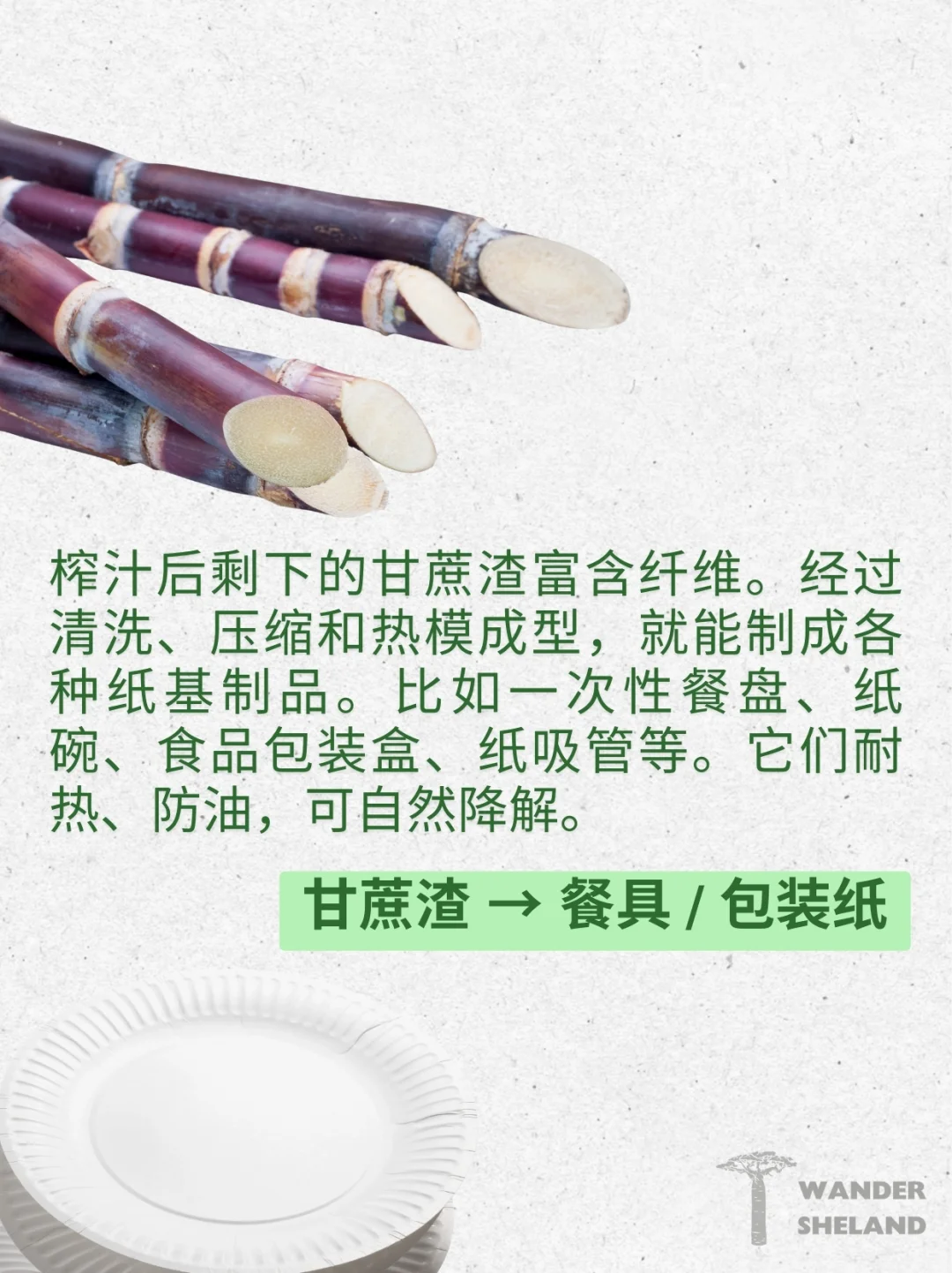 可持续指南｜废弃食材变身新材料 ?