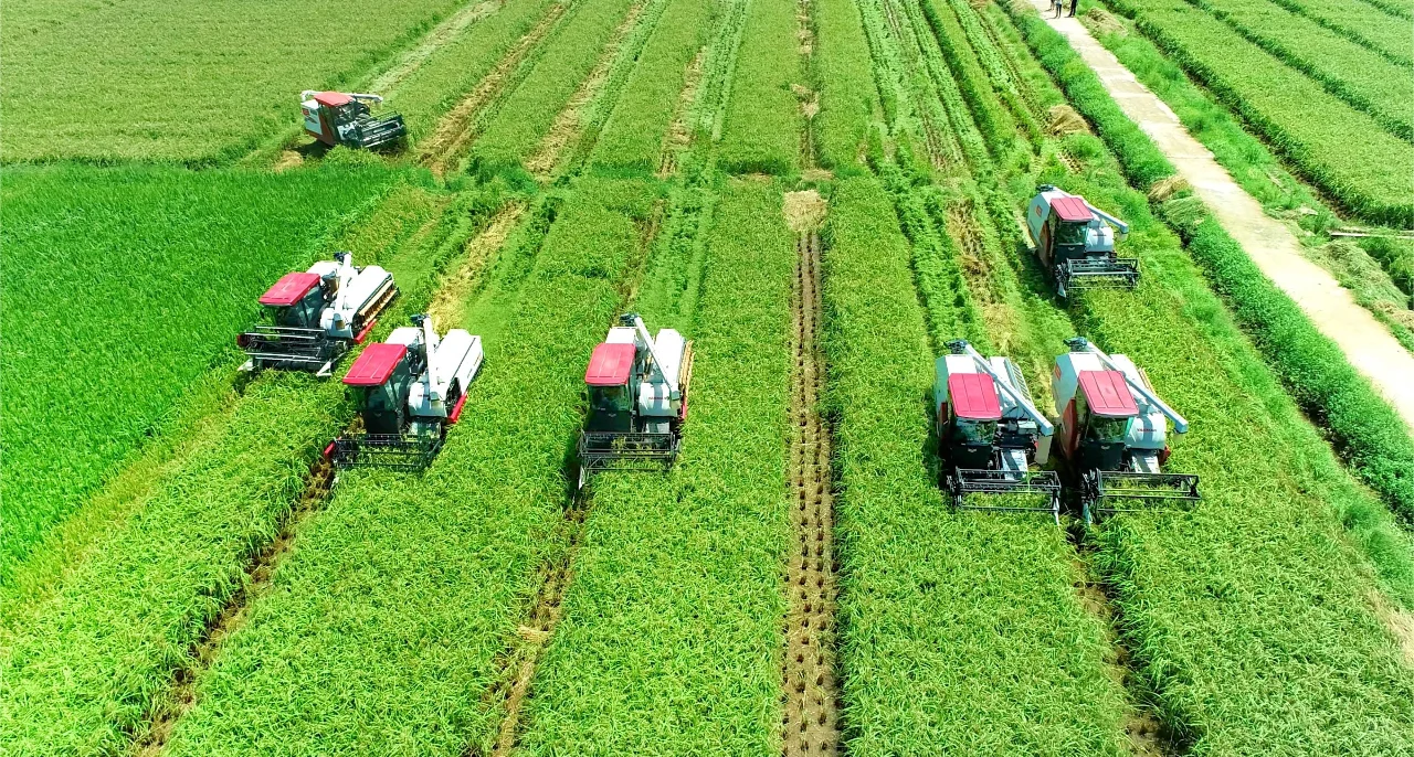 云上认养—传统农业向智慧农业的转变分析!