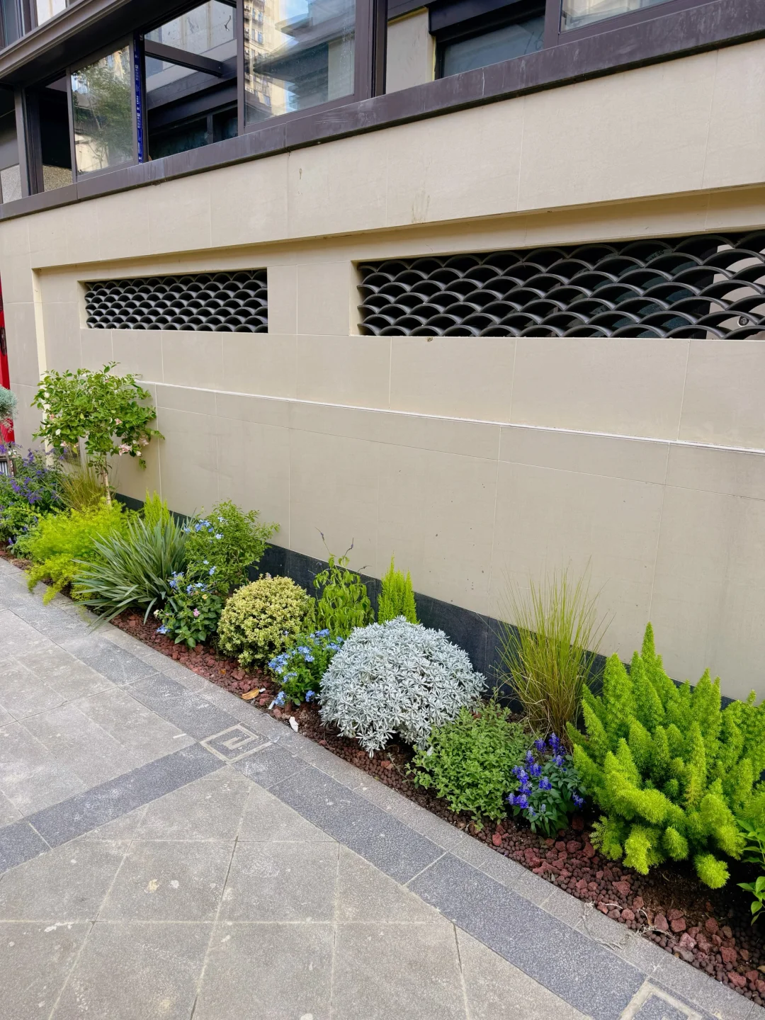 好多姐妹问的绿植详细版来啦?