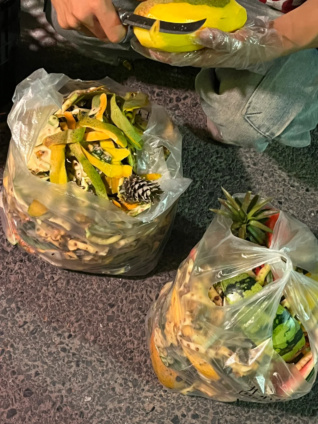 我宣布，我这是深圳最牛的果蔬废料回收站！