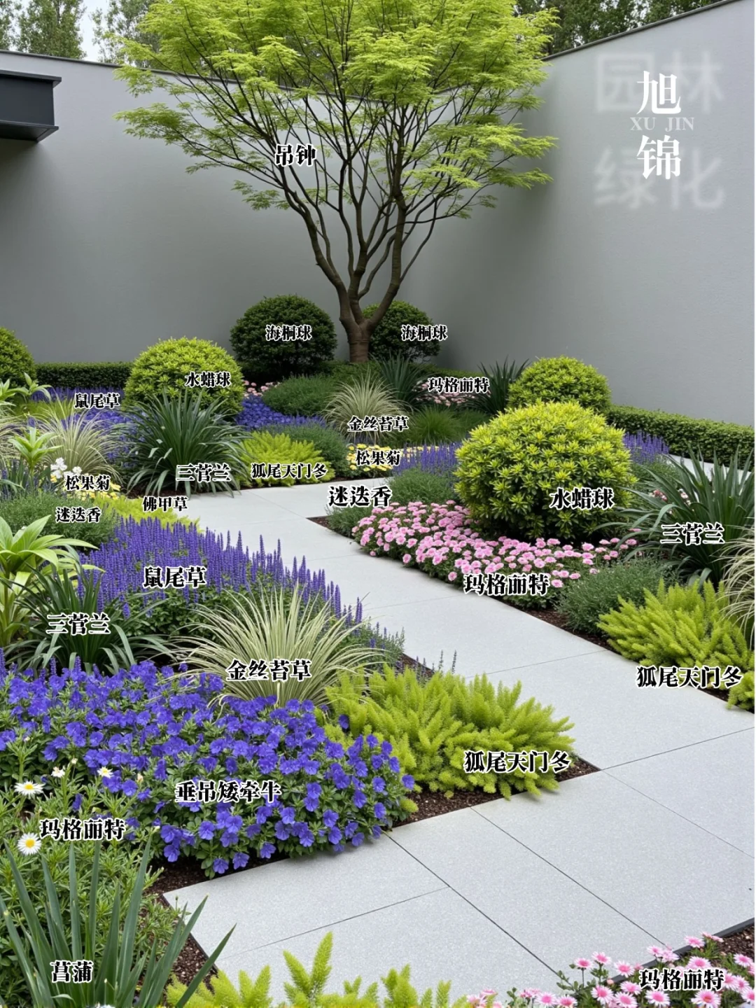 超实用!庭院花境搭配万能公式