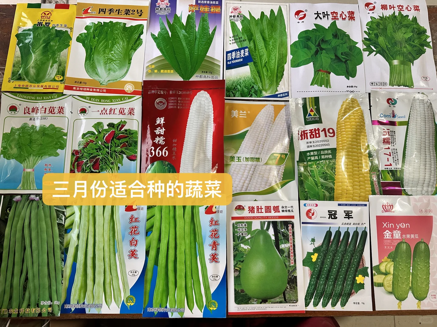 三月份适合种的蔬菜