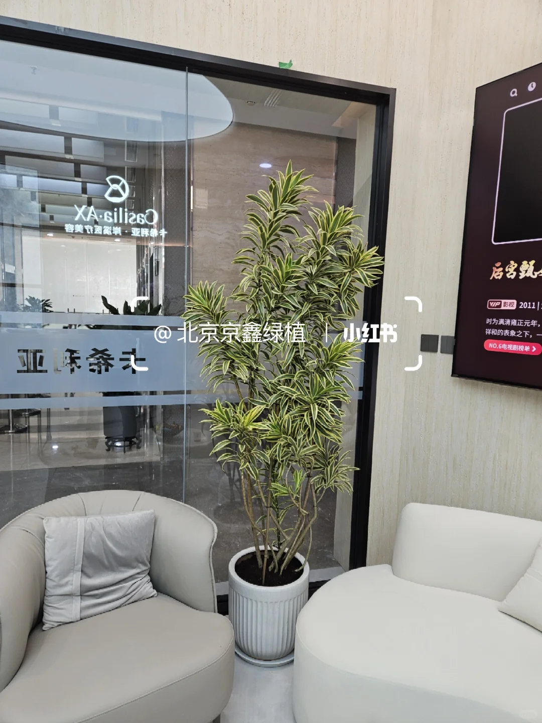 ?北京绿植租赁，绿植造景，绿植租摆