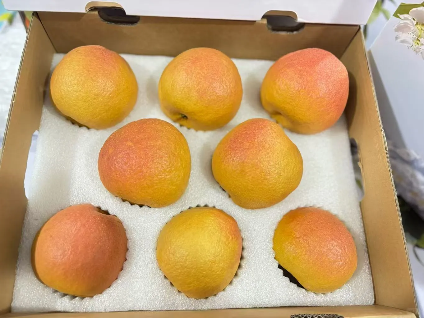 丽江雪山高原木梨