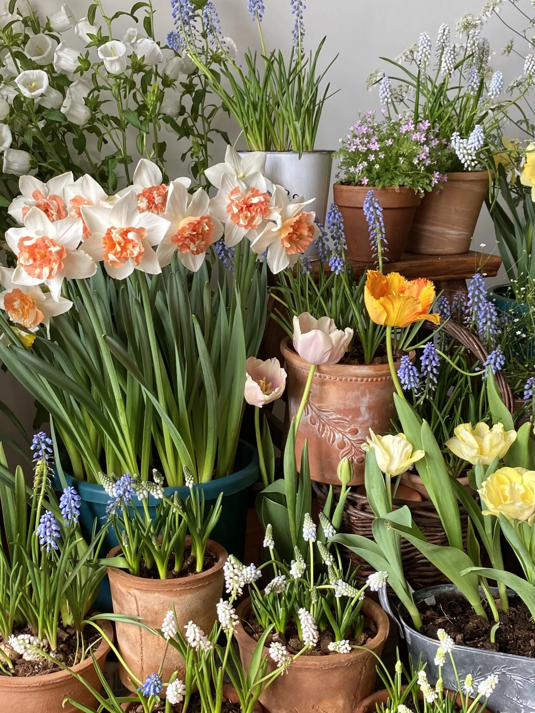 此时此刻我家???