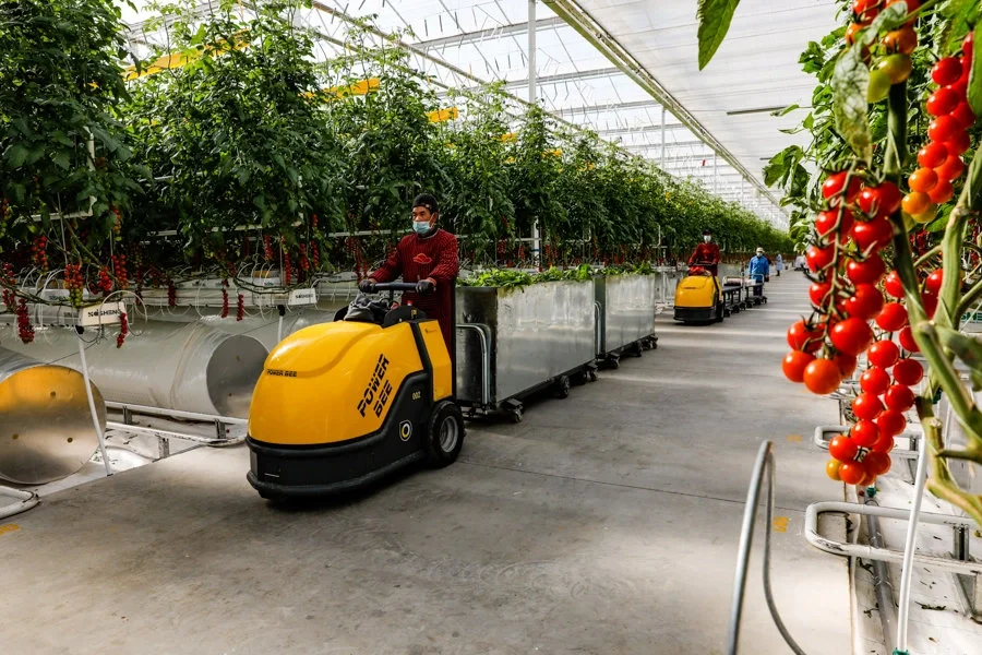 智能化对于设施农业种植非常重要?