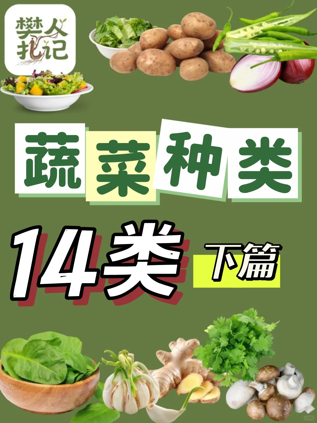蔬菜清单（下）?种什么菜？什么菜好种？