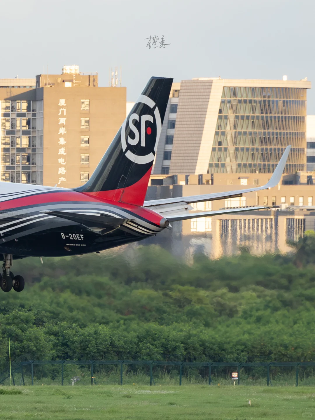 高崎日记179｜你的快递?一大早就在天上飞