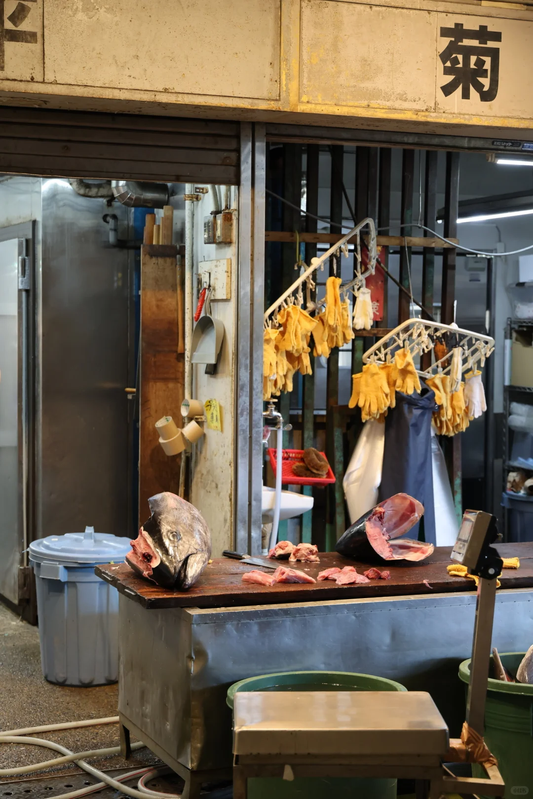 ??横滨 | 飞机一落地直奔早晨的鱼市场